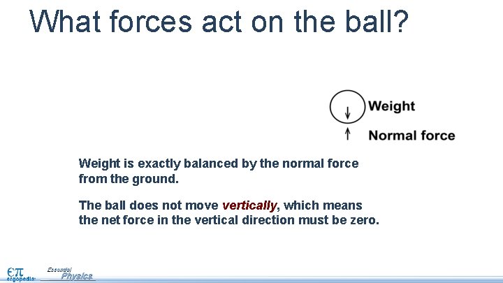 What forces act on the ball? Weight is exactly balanced by the normal force
