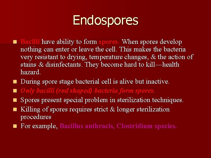 Endospores n n n Bacilli have ability to form spores. When spores develop nothing
