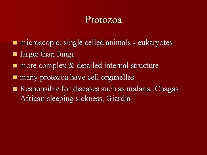 Protozoa n n n microscopic, single celled animals - eukaryotes larger than fungi more