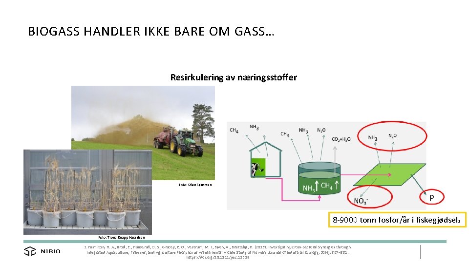 BIOGASS HANDLER IKKE BARE OM GASS… Resirkulering av næringsstoffer Foto: Stian Sørensen 8 -9000