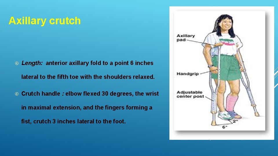 Axillary crutch Length: anterior axillary fold to a point 6 inches lateral to the