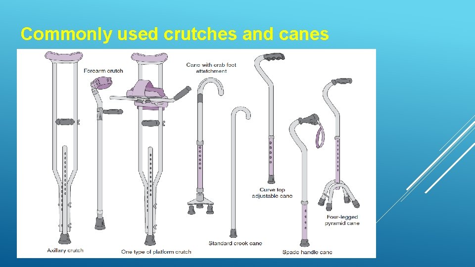 Commonly used crutches and canes 
