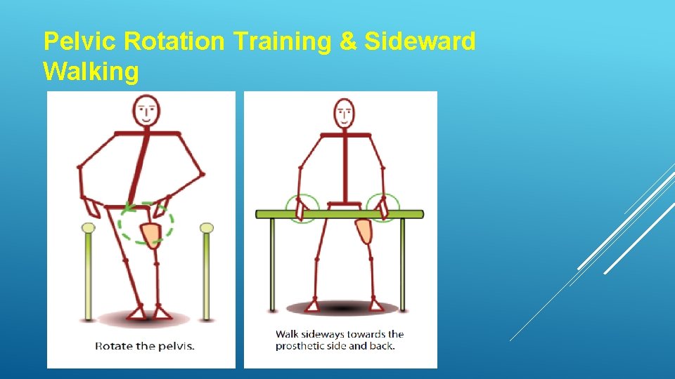 Pelvic Rotation Training & Sideward Walking 