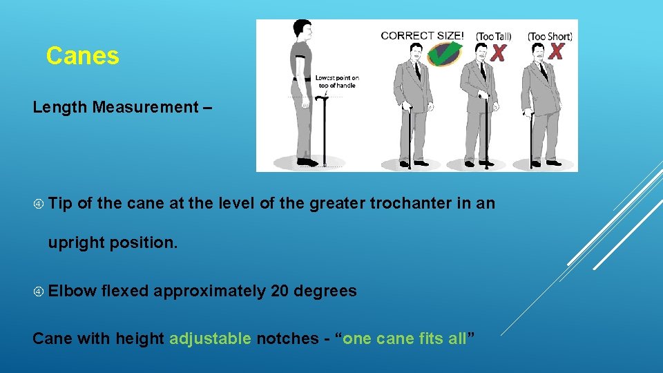 Canes Length Measurement – Tip of the cane at the level of the greater