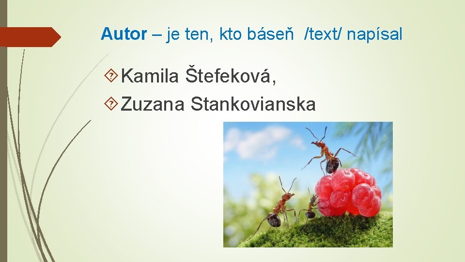 Autor – je ten, kto báseň /text/ napísal Kamila Štefeková, Zuzana Stankovianska 