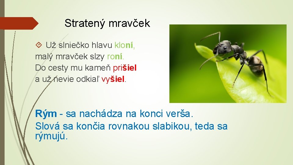 Stratený mravček Už slniečko hlavu kloní, malý mravček slzy roní. Do cesty mu kameň