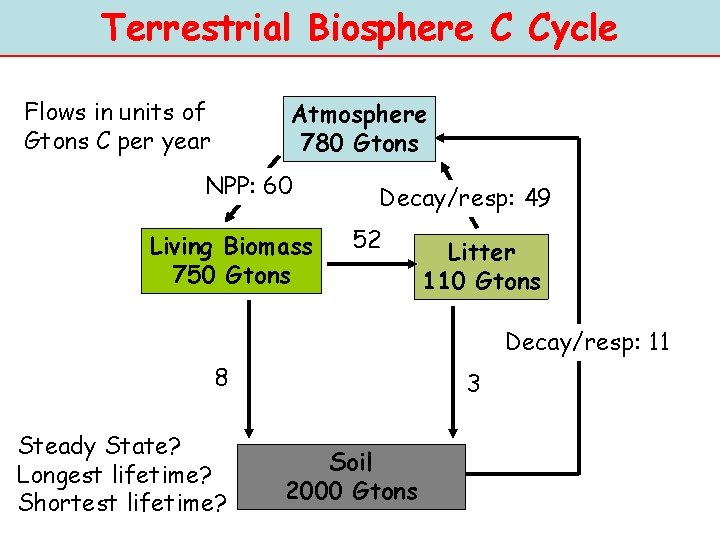 Terrestrial Biosphere C Cycle Flows in units of Gtons C per year Atmosphere 780