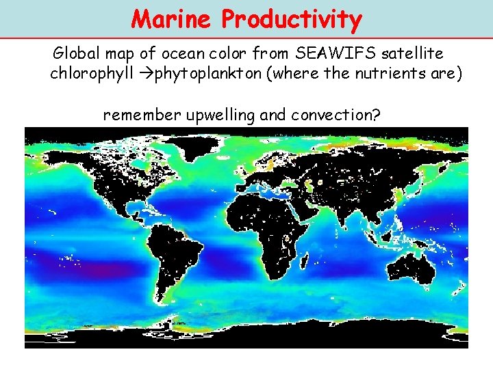 Marine Productivity Global map of ocean color from SEAWIFS satellite chlorophyll phytoplankton (where the