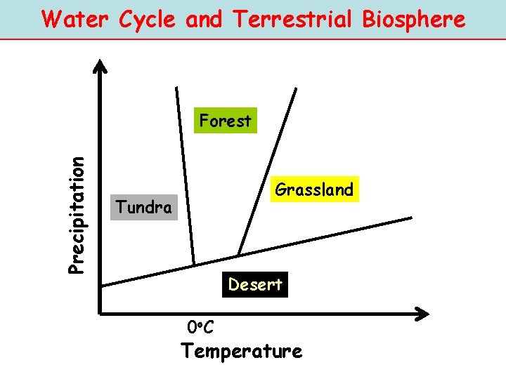 Water Cycle and Terrestrial Biosphere Precipitation Forest Grassland Tundra Desert 0 o C Temperature