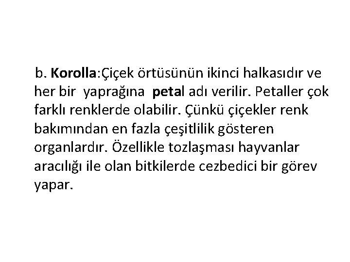 b. Korolla: Çiçek örtüsünün ikinci halkasıdır ve her bir yaprağına petal adı verilir. Petaller