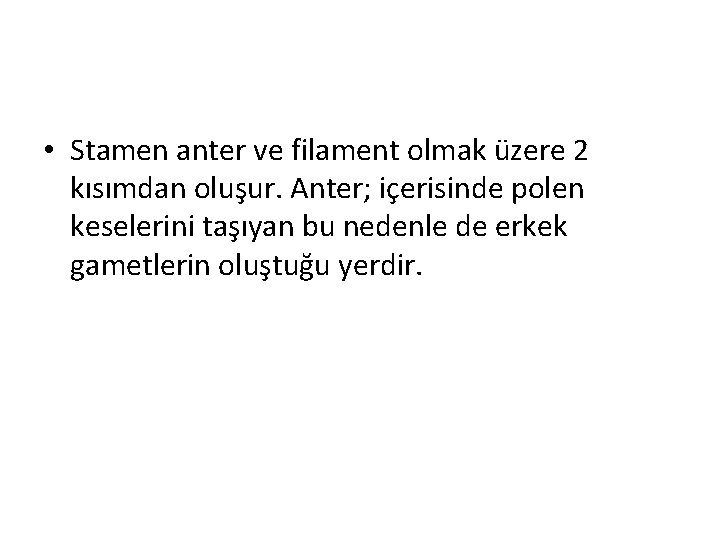  • Stamen anter ve filament olmak üzere 2 kısımdan oluşur. Anter; içerisinde polen