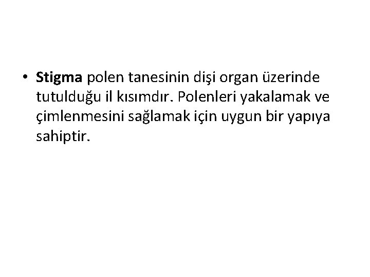  • Stigma polen tanesinin dişi organ üzerinde tutulduğu il kısımdır. Polenleri yakalamak ve