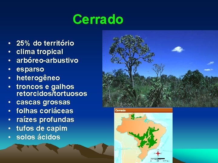 Cerrado • • • 25% do território clima tropical arbóreo-arbustivo esparso heterogêneo troncos e