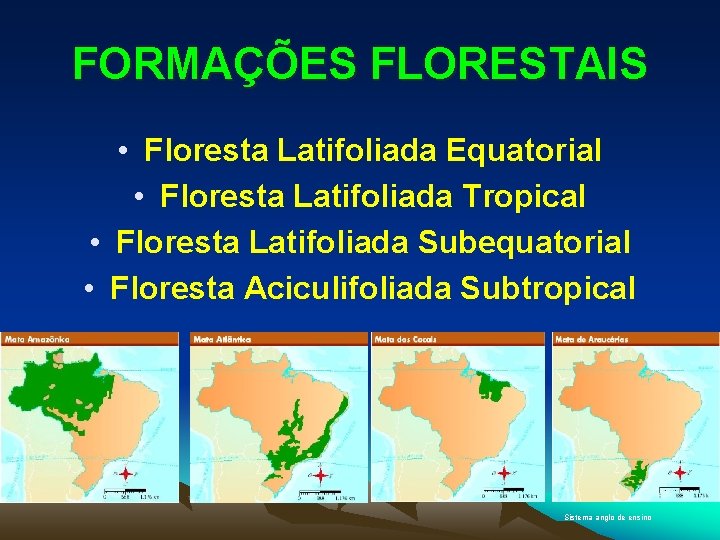 FORMAÇÕES FLORESTAIS • Floresta Latifoliada Equatorial • Floresta Latifoliada Tropical • Floresta Latifoliada Subequatorial