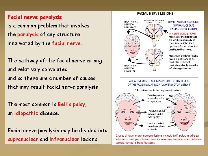 Facial nerve paralysis is a common problem that involves the paralysis of any structure