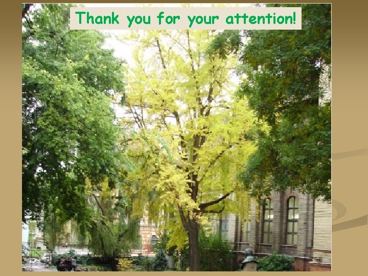 Thank you for your attention! 