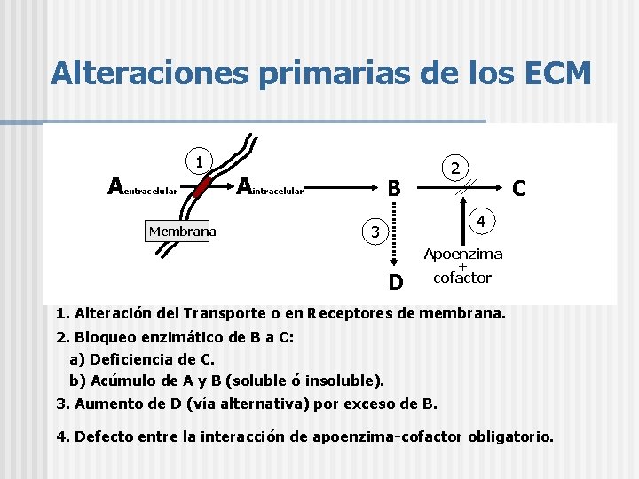 Alteraciones primarias de los ECM A 1 extracelular Membrana A 2 B intracelular C