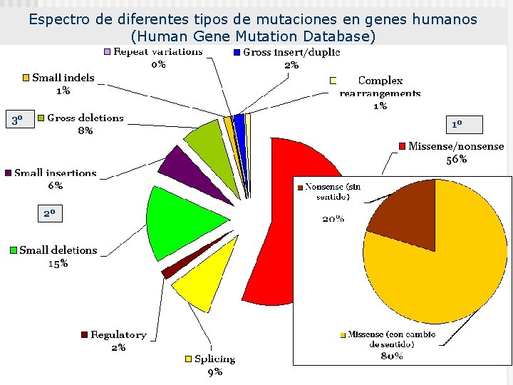 Espectro de diferentes tipos de mutaciones en genes humanos (Human Gene Mutation Database) 3º