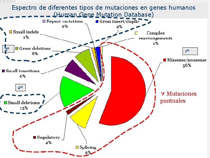 Espectro de diferentes tipos de mutaciones en genes humanos (Human Gene Mutation Database) 3º