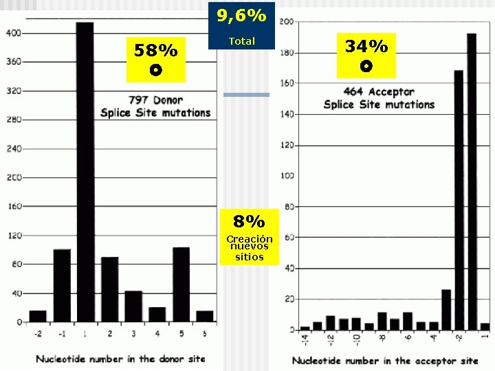 9, 6% 58% Total 8% Creación nuevos sitios 34% 