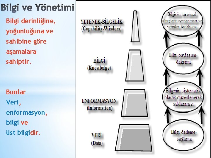 Bilgi derinliğine, yoğunluğuna ve sahibine göre aşamalara sahiptir. Bunlar Veri, enformasyon, bilgi ve üst