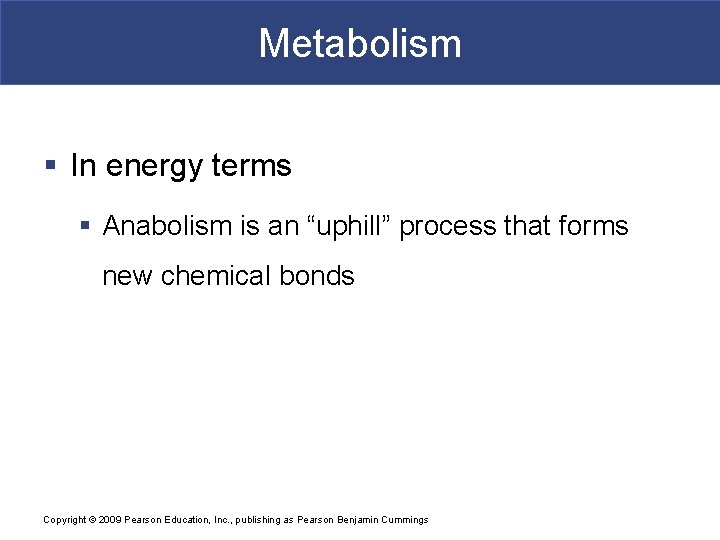 Metabolism § In energy terms § Anabolism is an “uphill” process that forms new