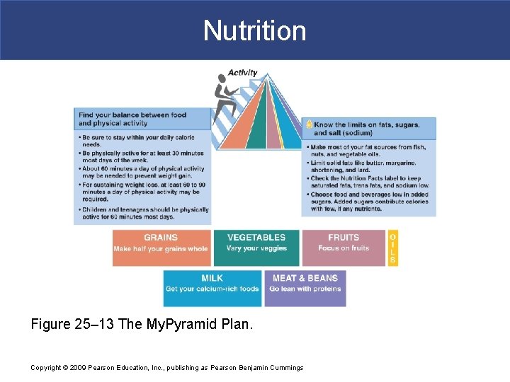 Nutrition Figure 25– 13 The My. Pyramid Plan. Copyright © 2009 Pearson Education, Inc.
