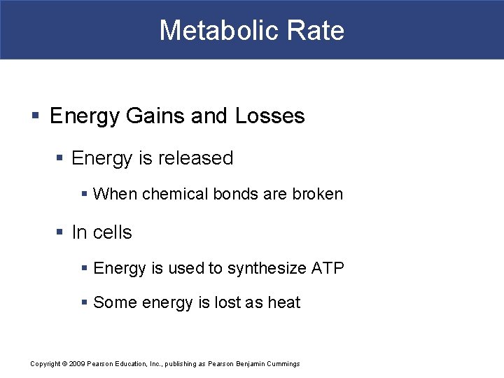 Metabolic Rate § Energy Gains and Losses § Energy is released § When chemical