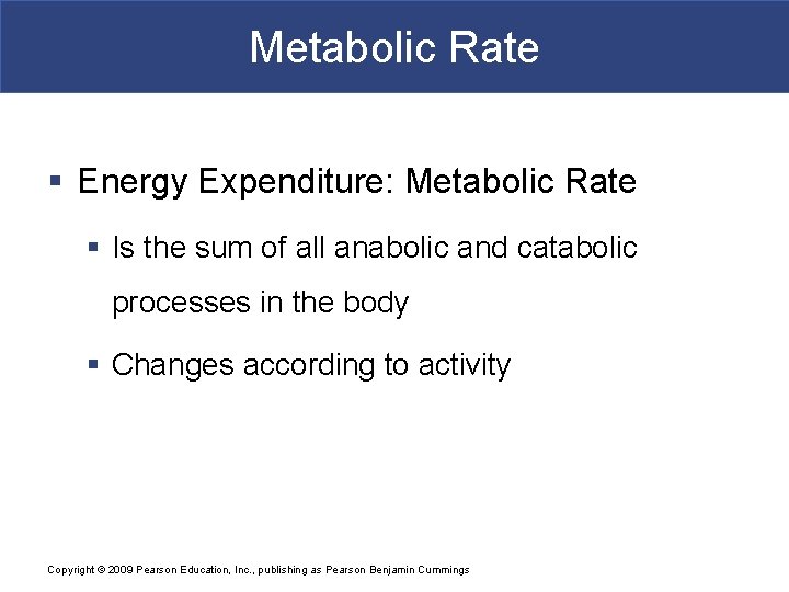 Metabolic Rate § Energy Expenditure: Metabolic Rate § Is the sum of all anabolic