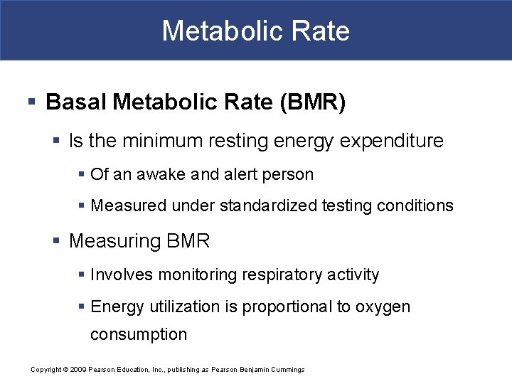 Metabolic Rate § Basal Metabolic Rate (BMR) § Is the minimum resting energy expenditure