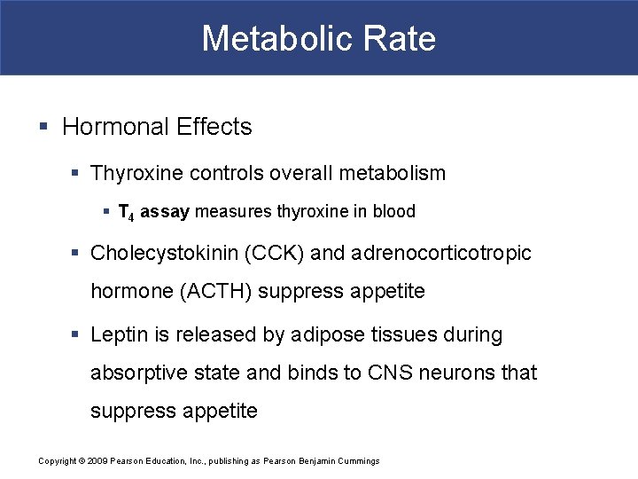 Metabolic Rate § Hormonal Effects § Thyroxine controls overall metabolism § T 4 assay