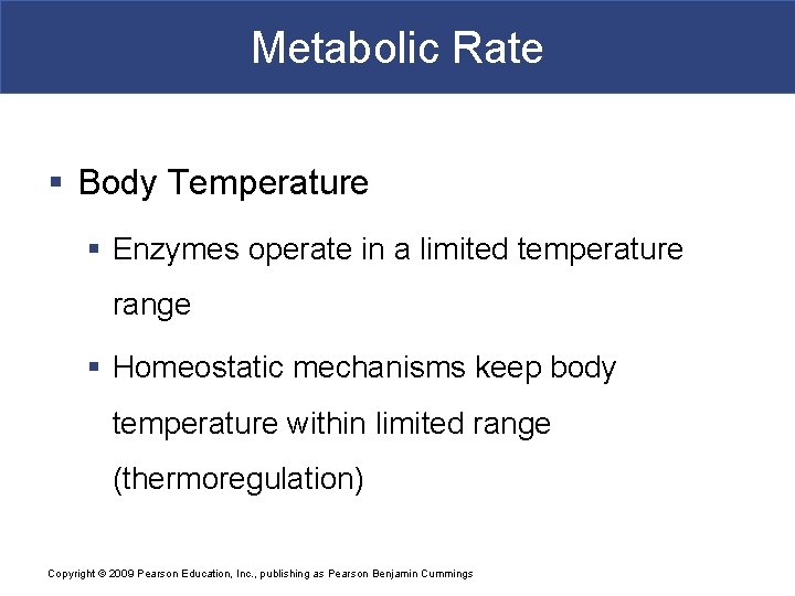 Metabolic Rate § Body Temperature § Enzymes operate in a limited temperature range §