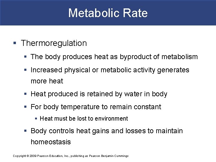 Metabolic Rate § Thermoregulation § The body produces heat as byproduct of metabolism §