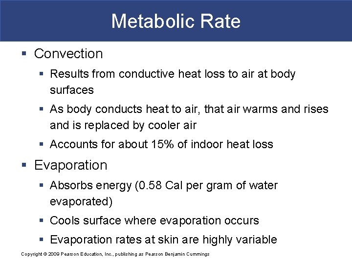 Metabolic Rate § Convection § Results from conductive heat loss to air at body