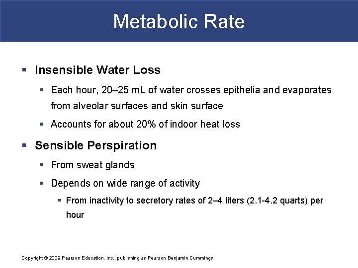 Metabolic Rate § Insensible Water Loss § Each hour, 20– 25 m. L of