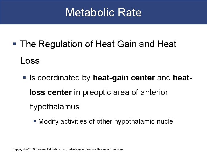 Metabolic Rate § The Regulation of Heat Gain and Heat Loss § Is coordinated