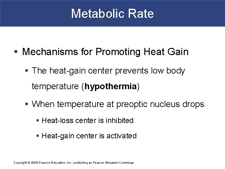Metabolic Rate § Mechanisms for Promoting Heat Gain § The heat-gain center prevents low