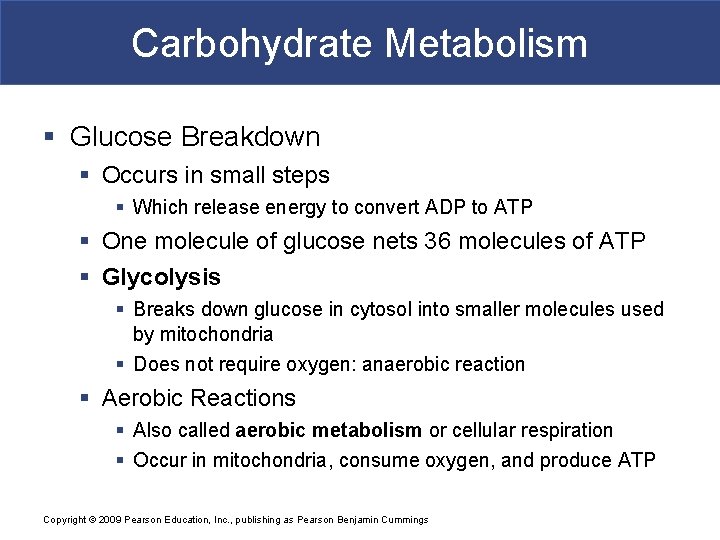 Carbohydrate Metabolism § Glucose Breakdown § Occurs in small steps § Which release energy