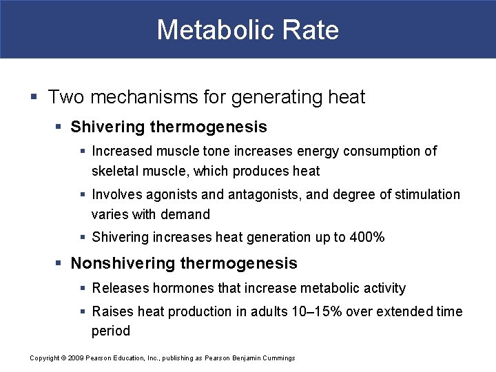 Metabolic Rate § Two mechanisms for generating heat § Shivering thermogenesis § Increased muscle