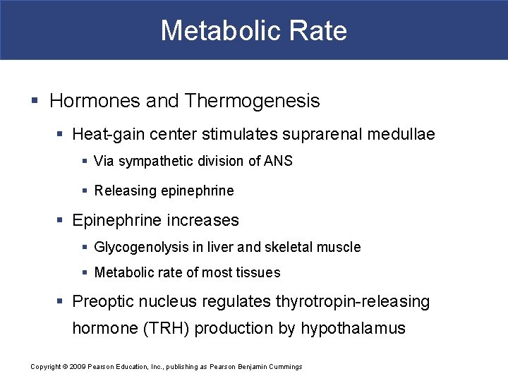 Metabolic Rate § Hormones and Thermogenesis § Heat-gain center stimulates suprarenal medullae § Via