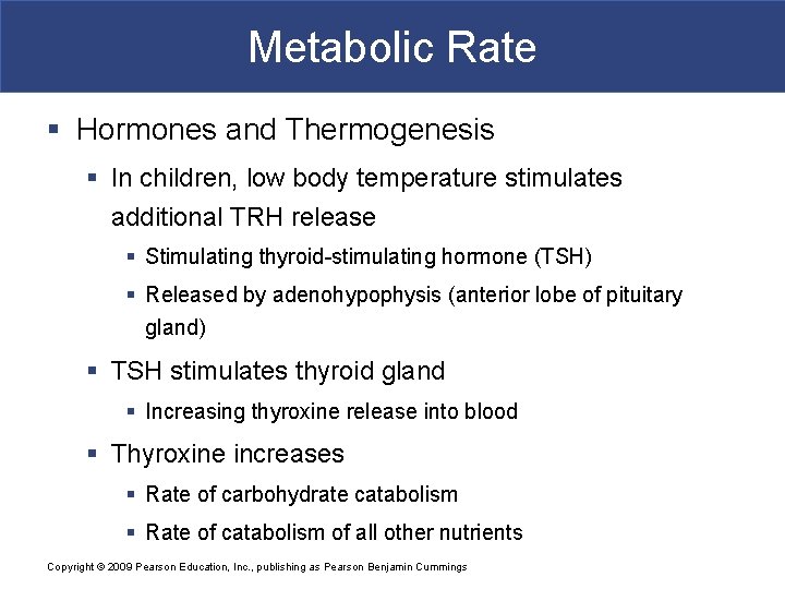 Metabolic Rate § Hormones and Thermogenesis § In children, low body temperature stimulates additional