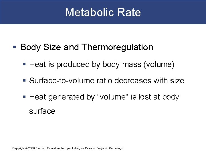 Metabolic Rate § Body Size and Thermoregulation § Heat is produced by body mass