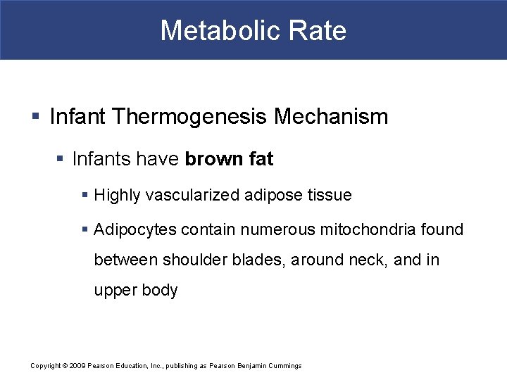 Metabolic Rate § Infant Thermogenesis Mechanism § Infants have brown fat § Highly vascularized