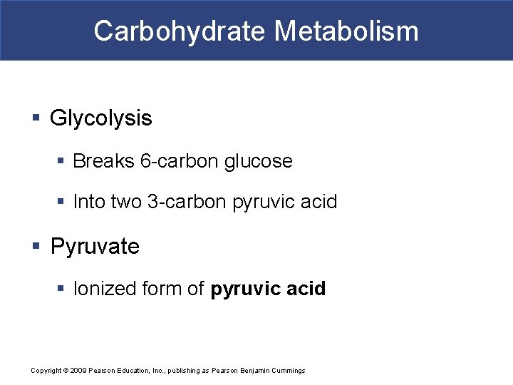 Carbohydrate Metabolism § Glycolysis § Breaks 6 -carbon glucose § Into two 3 -carbon