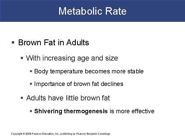 Metabolic Rate § Brown Fat in Adults § With increasing age and size §