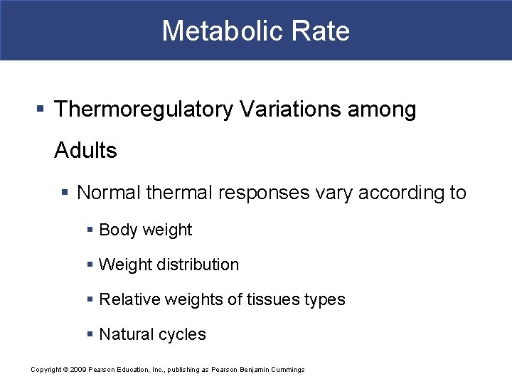 Metabolic Rate § Thermoregulatory Variations among Adults § Normal thermal responses vary according to