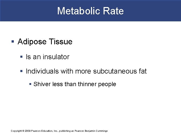 Metabolic Rate § Adipose Tissue § Is an insulator § Individuals with more subcutaneous