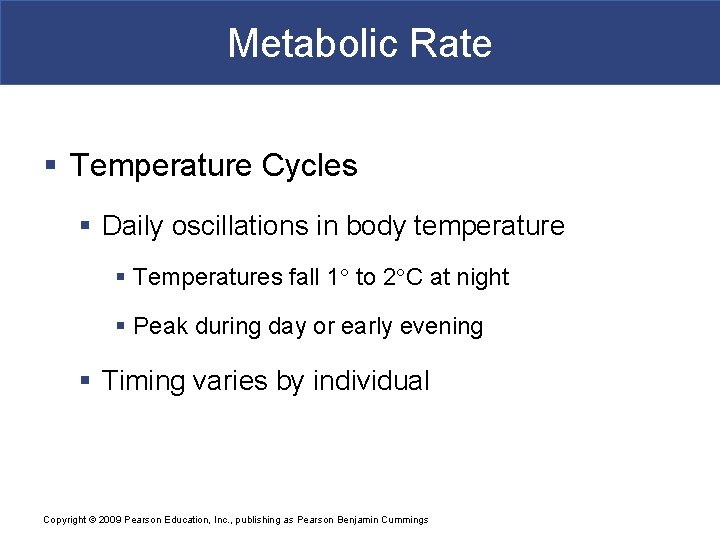 Metabolic Rate § Temperature Cycles § Daily oscillations in body temperature § Temperatures fall