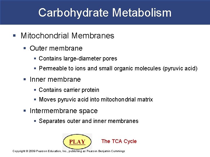 Carbohydrate Metabolism § Mitochondrial Membranes § Outer membrane § Contains large-diameter pores § Permeable