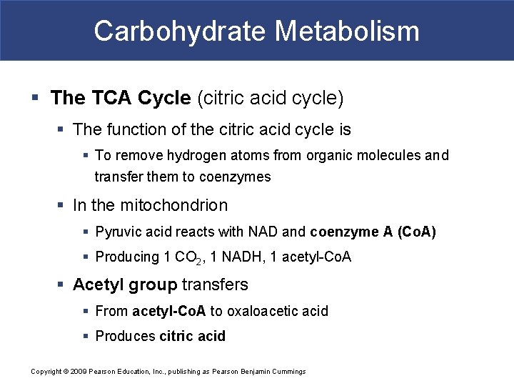 Carbohydrate Metabolism § The TCA Cycle (citric acid cycle) § The function of the